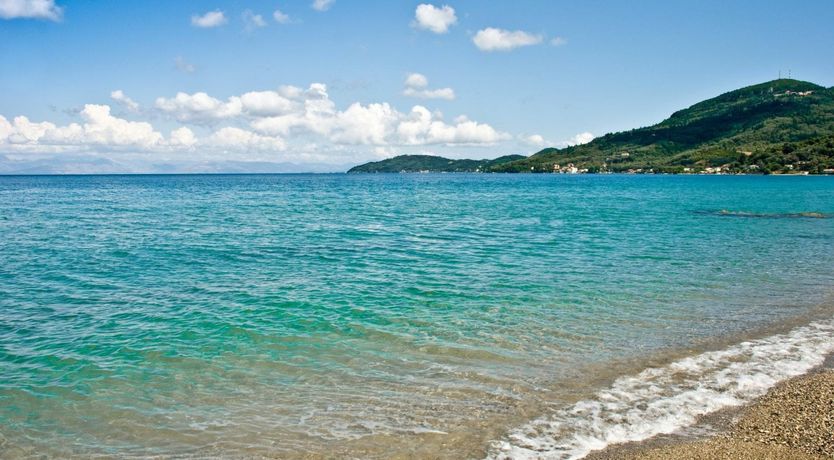 Photo of Euphoria Dream