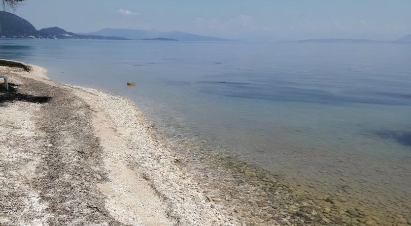 Photo of Euphoria Dream