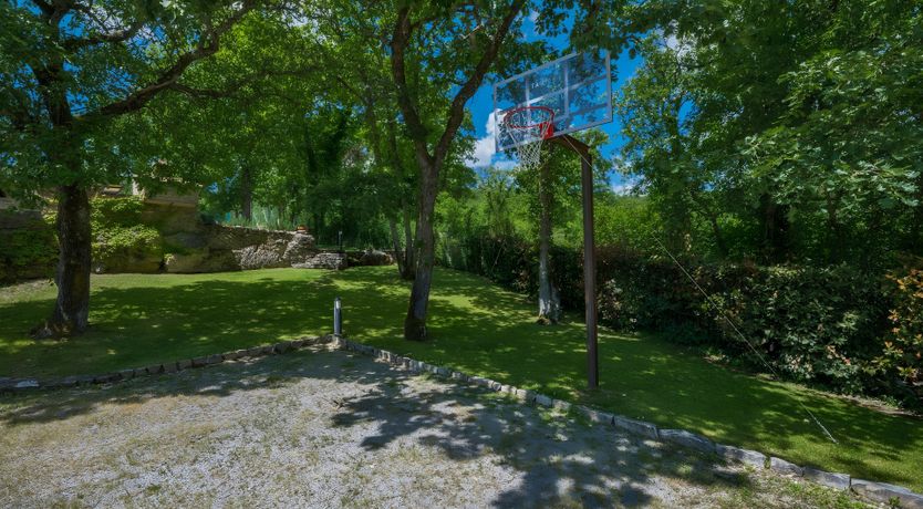 Photo of The Tuscan Vine