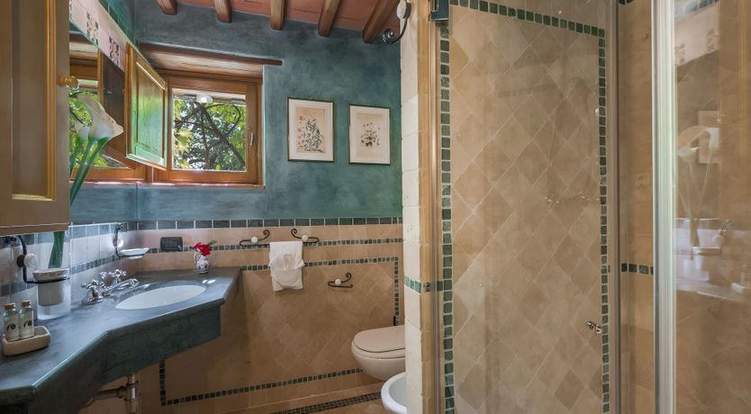 Photo of The Tuscan Vine