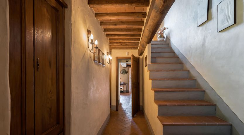 Photo of The Tuscan Vine