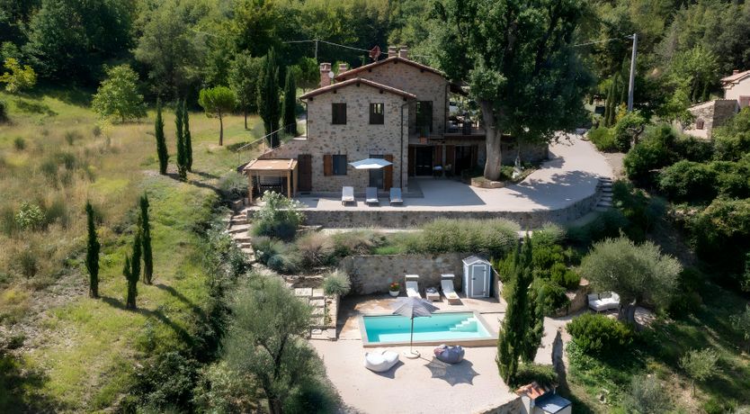 Photo of The Italian Rose