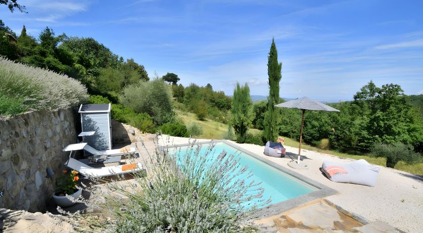 Photo of The Italian Rose