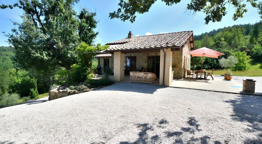 Photo of The Italian Rose