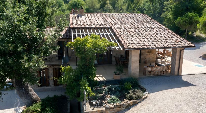 Photo of The Italian Rose