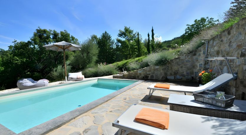 Photo of The Italian Rose