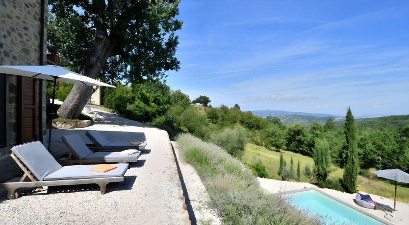 Photo of The Italian Rose