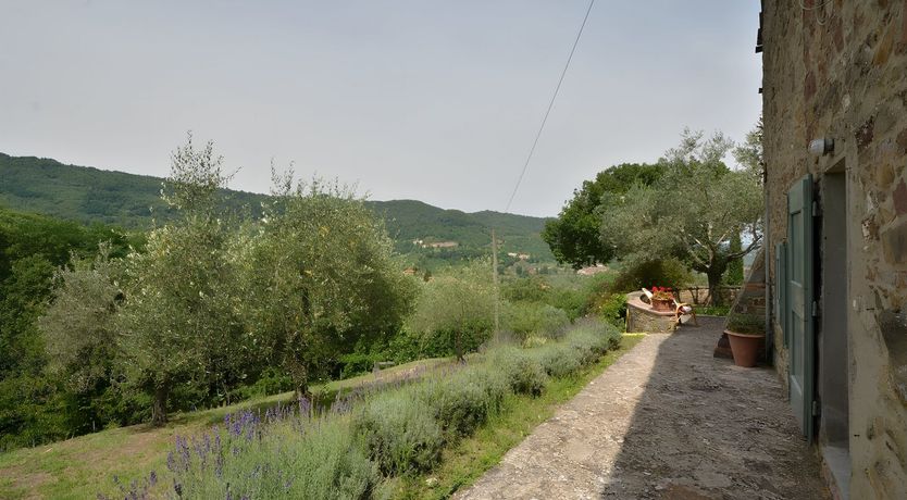 Photo of Hills of Bliss