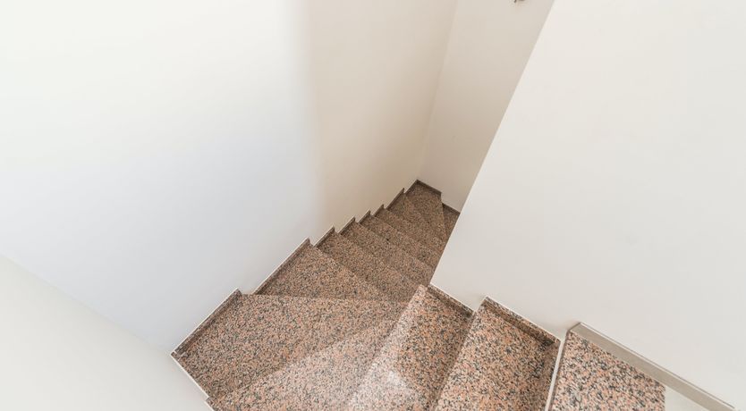 Photo of Golden Glance