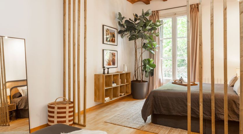 Photo of Catalan Jungle