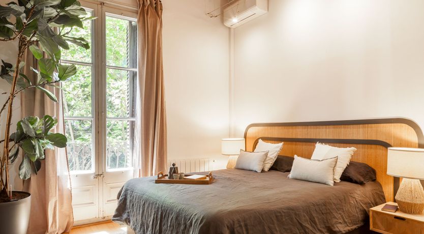 Photo of Catalan Jungle