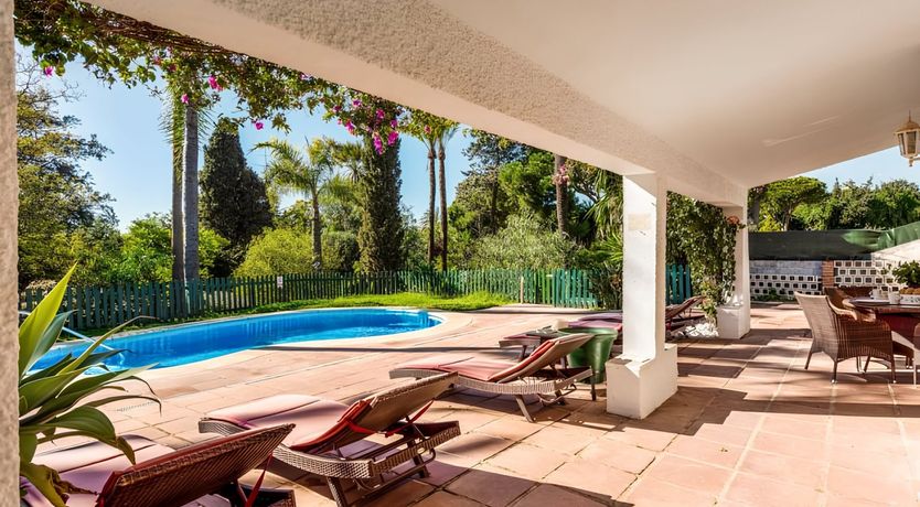 Photo of The Silver Palms