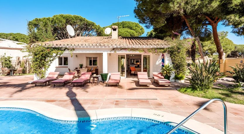 Photo of The Silver Palms