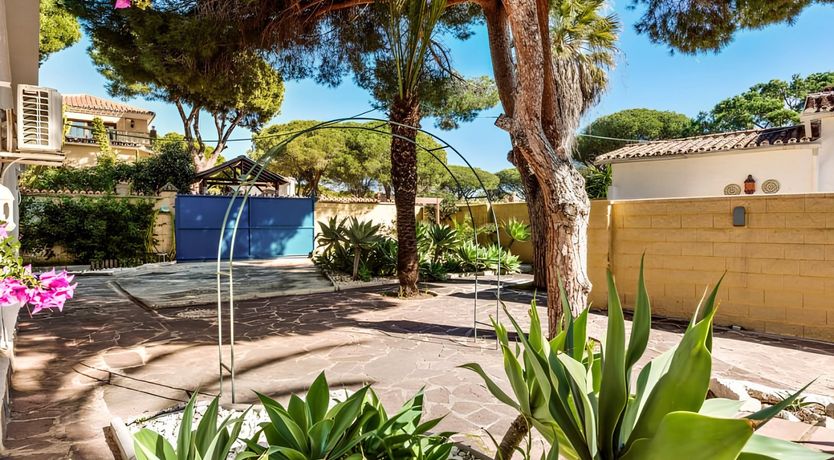 Photo of The Silver Palms