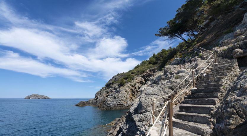 Photo of As Free As The Sea