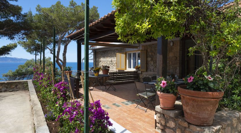 Photo of As Free As The Sea