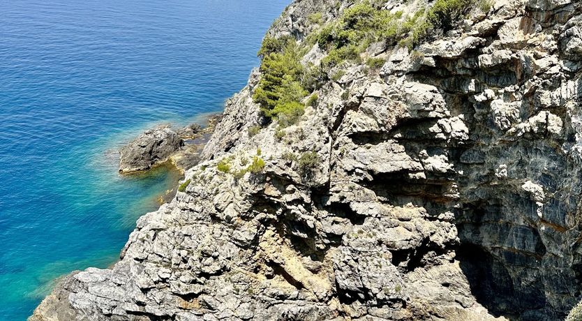 Photo of As Free As The Sea