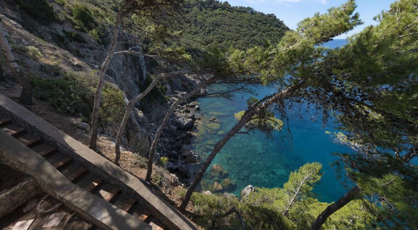 Photo of As Free As The Sea