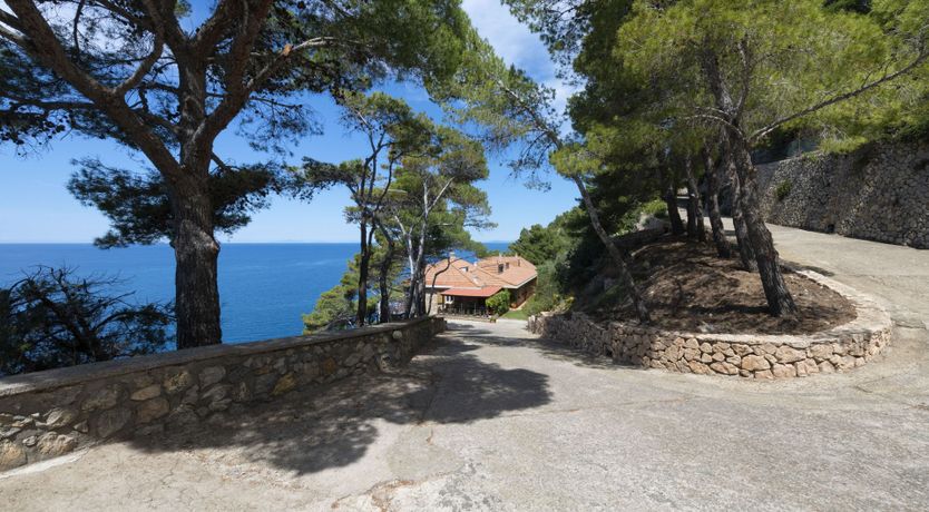 Photo of As Free As The Sea