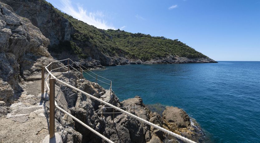 Photo of As Free As The Sea