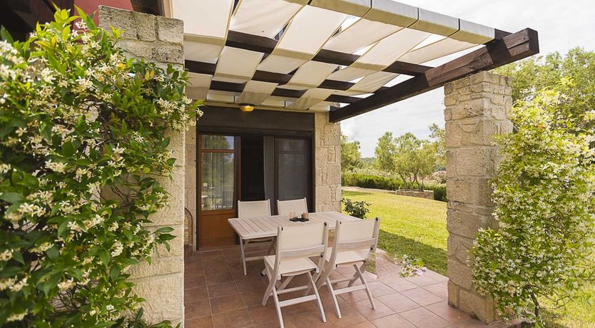 Photo of Nestled in the Sun