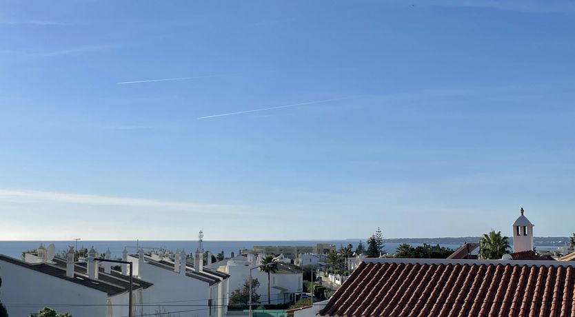 Photo of Eucalyptus & Clove