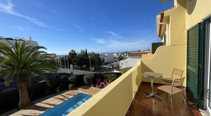 Photo of Eucalyptus & Clove