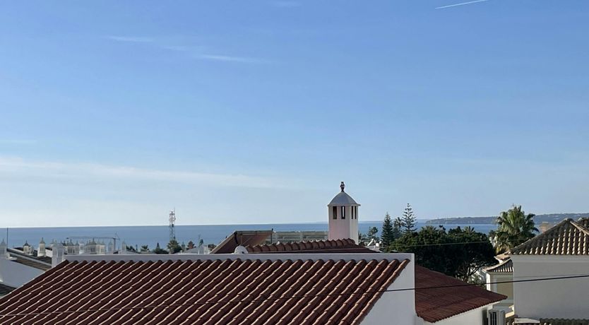 Photo of Eucalyptus & Clove