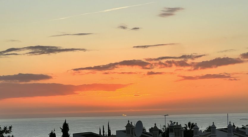 Photo of Eucalyptus & Clove