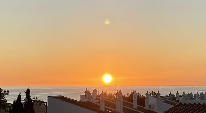 Photo of Eucalyptus & Clove