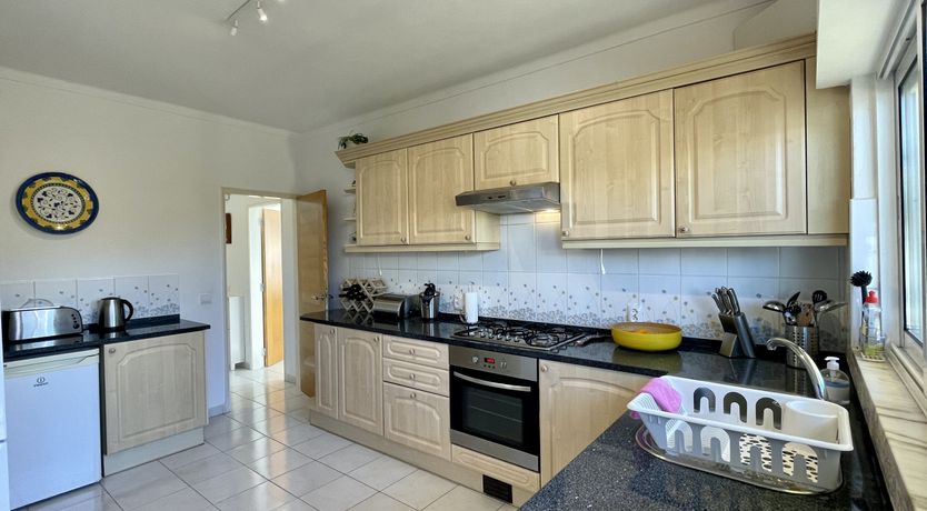 Photo of Eucalyptus & Clove