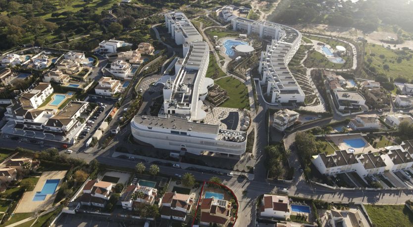 Photo of Eucalyptus & Clove