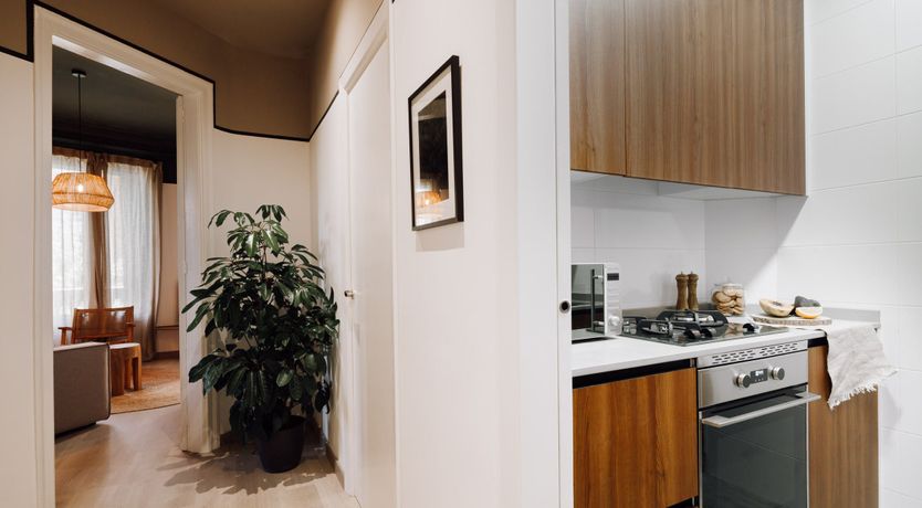 Photo of Jungle Book