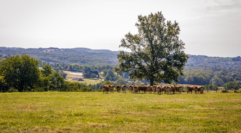 Photo of It Runs in the Family