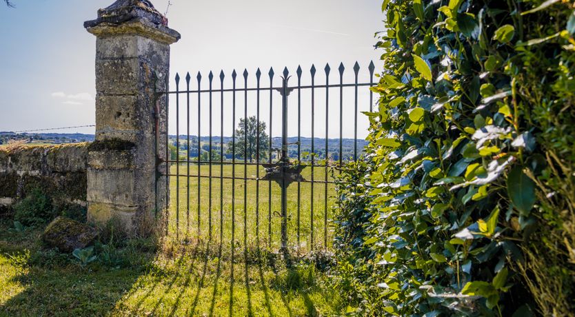 Photo of It Runs in the Family