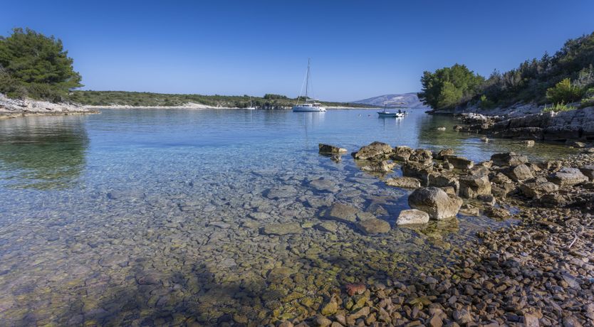 Photo of Stunning Shores