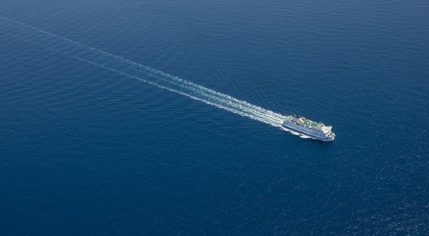 Photo of Stunning Shores