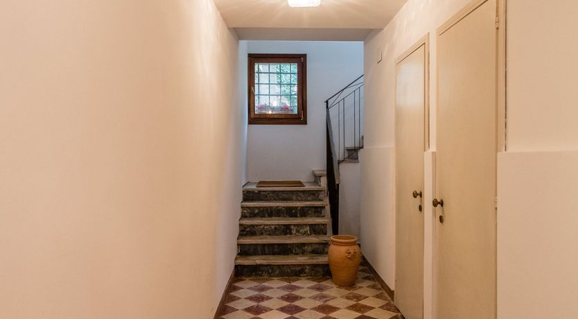 Photo of The Stag's Eye