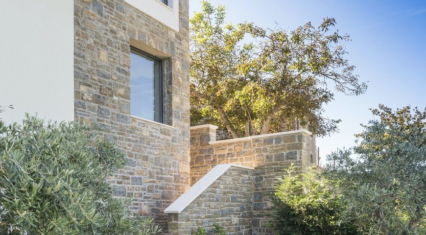 Photo of A Dream in Colour