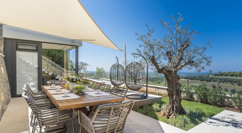 Photo of A Dream in Colour