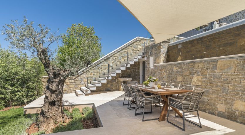 Photo of A Dream in Colour