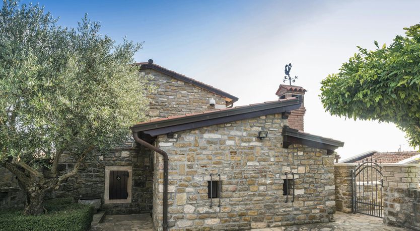 Photo of A Dream in Colour