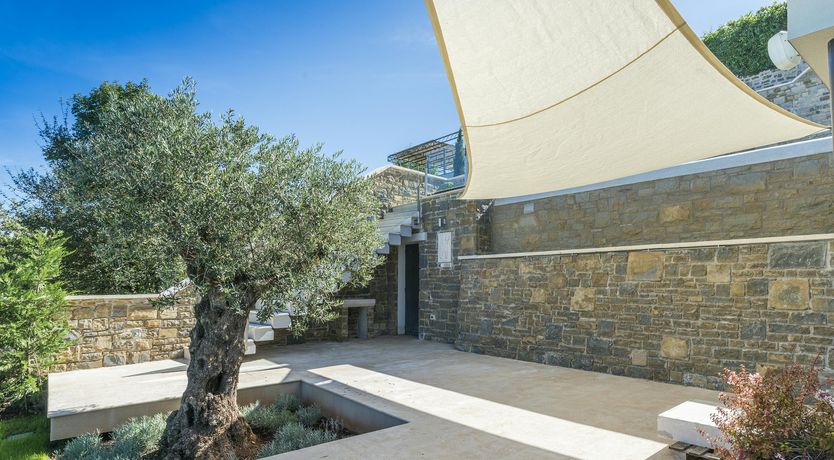 Photo of A Dream in Colour