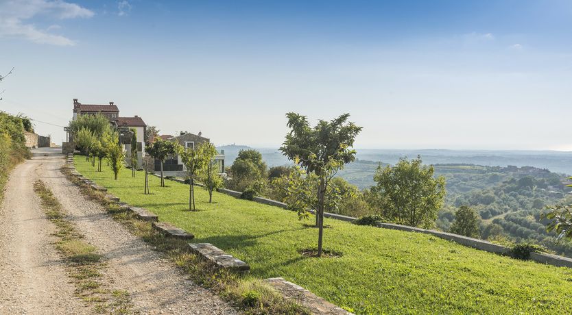 Photo of A Dream in Colour