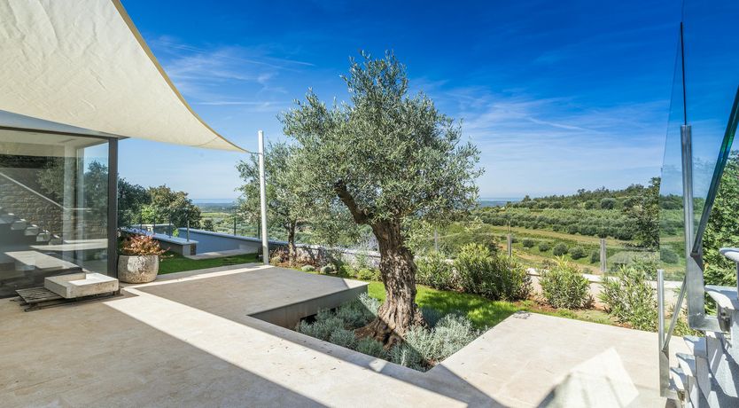 Photo of A Dream in Colour