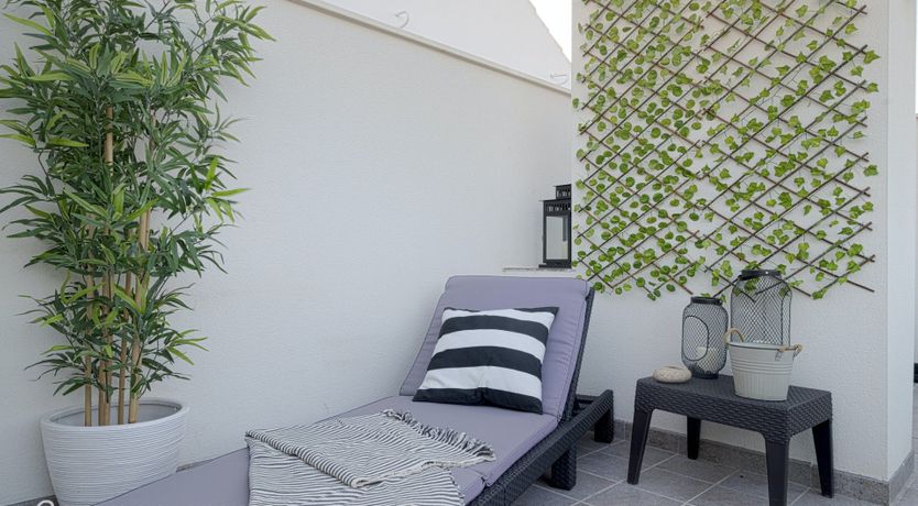 Photo of The Giraffe's Song