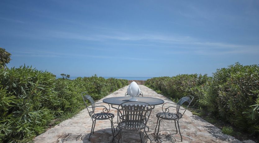 Photo of A Natural Odyssey