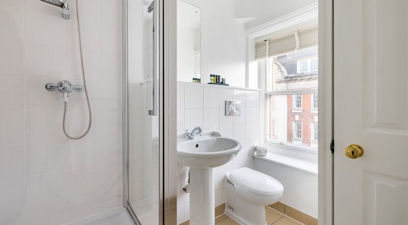 Photo of The Little Green Bird