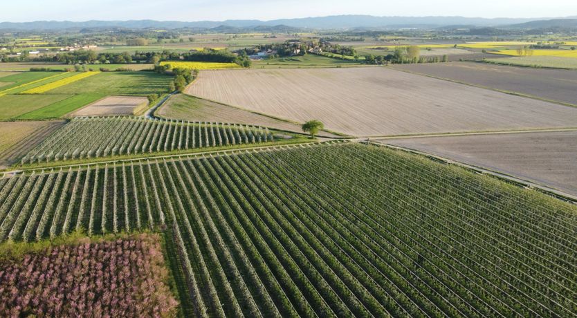 Photo of Fig Tree Retreat