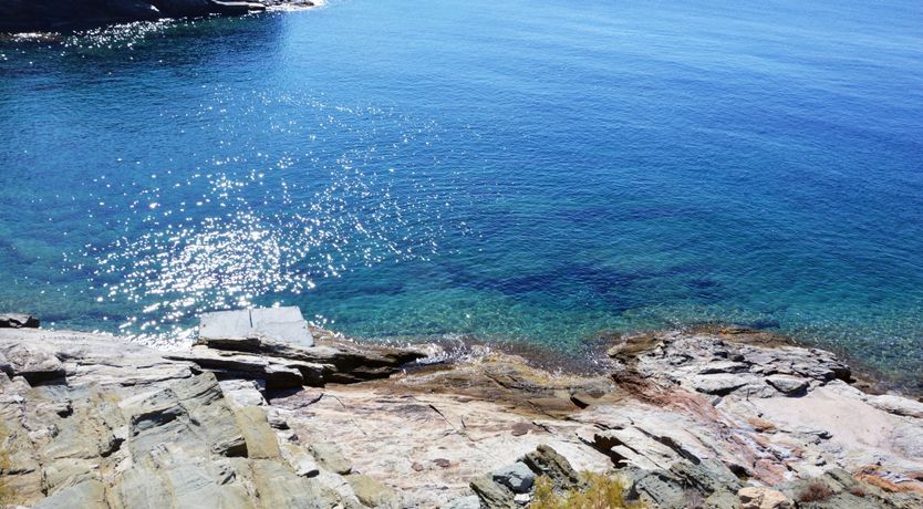 Photo of Turquoise Charm